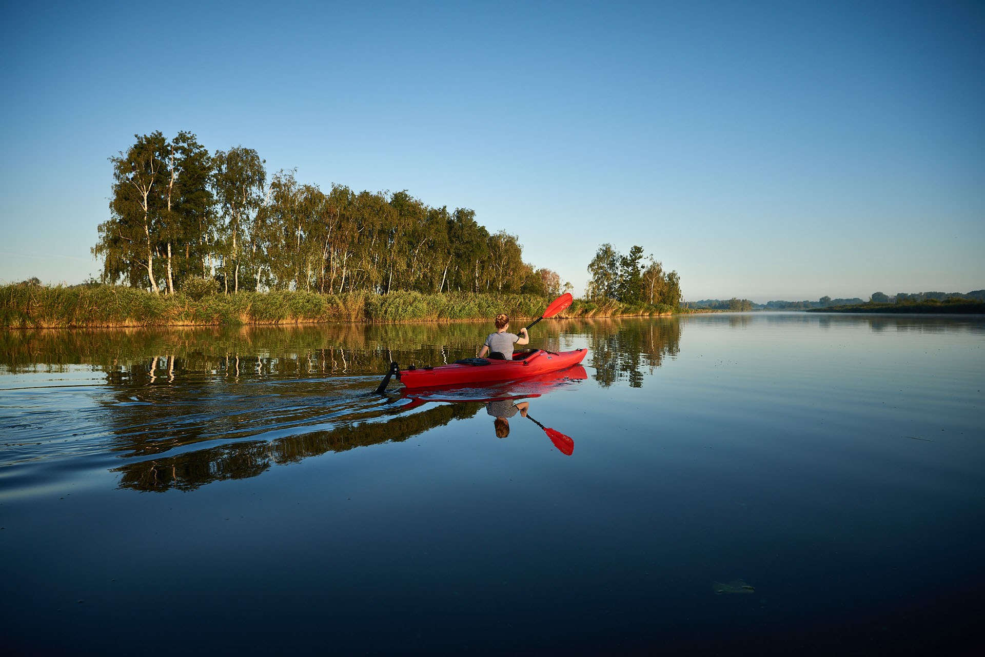 A red kayak on the river from the right. Birch and reeds in the background.